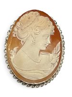 Spilla Mandile 1922 Donna Cammei  in Argento Conchiglia 2MSCCM45.6.26